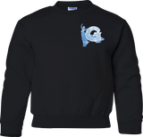 Frozen Jr: Crewneck *Pre-Order*